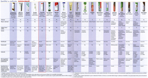 Catalogo
